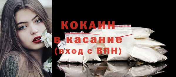 гидра Михайловка