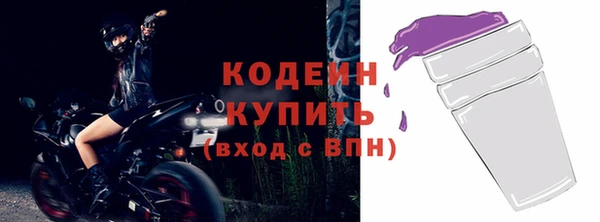 молекула духа Тында