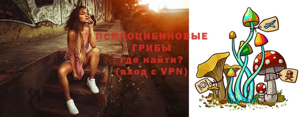 дживик Медвежьегорск