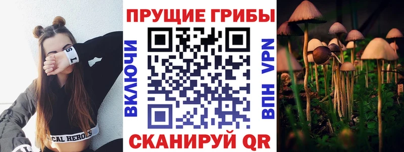 Псилоцибиновые грибы мицелий  купить закладку  Обь 