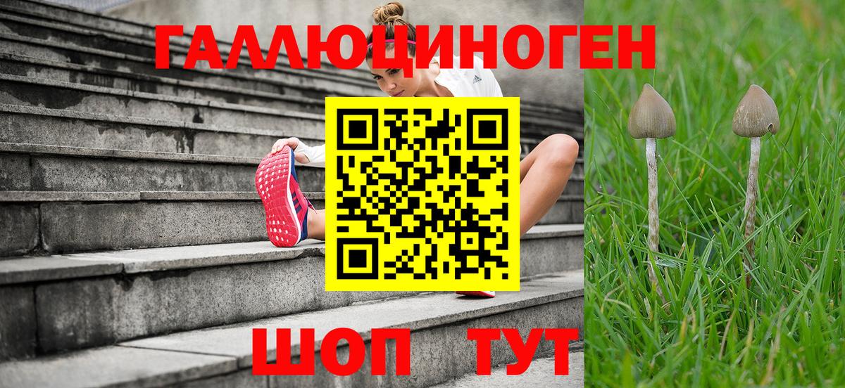 где купить наркоту  Галлюциногенные грибы прущие грибы  Вход с VPN  Обь 